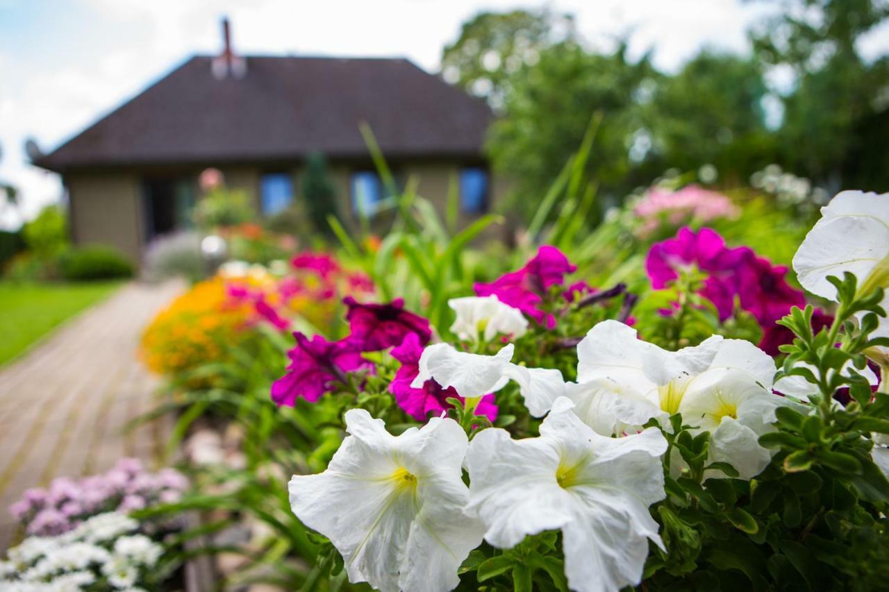 Guests House "Like Home" Sigulda Dış mekan fotoğraf
